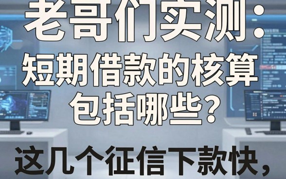老哥们实测:短期借款的核算包括哪些?这几个口子不看征信下款快