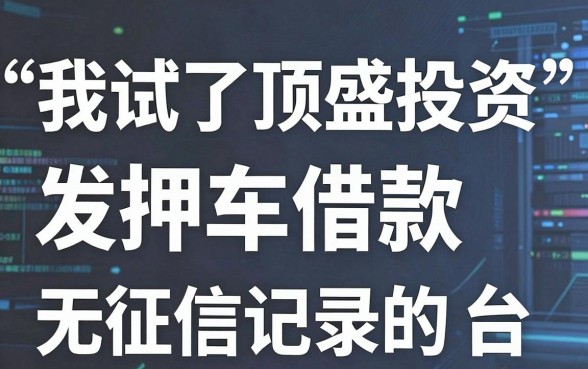 我试了顶盛投资押车借款，发现那些轻松借款无征信记录的平台背后另有玄机