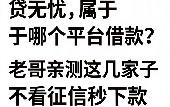 贷无忧属于哪个平台借款?老哥亲测这几家口子不看征信秒下款