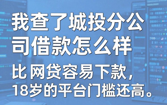 我查了城投分公司借款怎么样，发现比网贷容易下款18岁的平台门槛还高