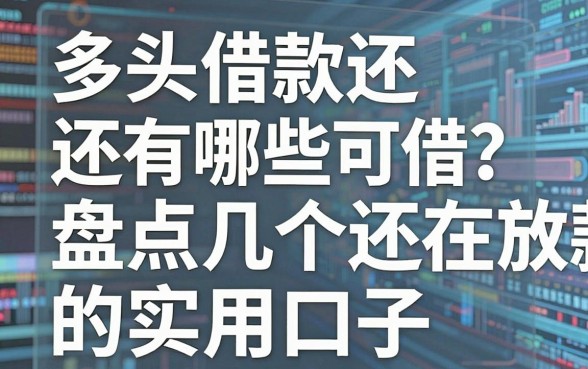 多头借款还有哪些可借？盘点几个还在放款的实用口子