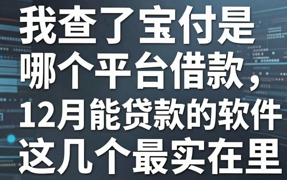 我查了宝付是哪个平台借款，发现12月能贷款的软件里这几个最实在