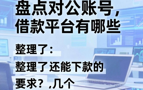 盘点对公账号借款平台有哪些,整理了几个还能下款的