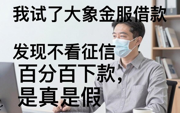 我试了大象金服借款，发现不看征信百分百下款是真是假