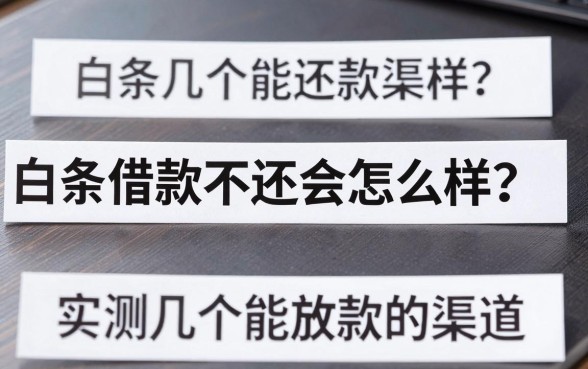 白条借款不还会怎么样?实测几个能放款的渠道