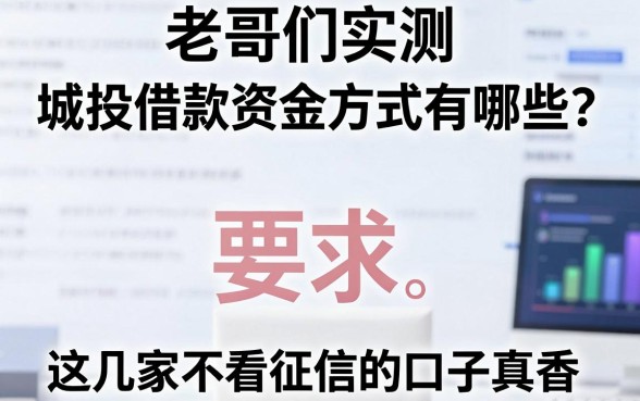 老哥们实测:城投借款资金方式有哪些?这几家不看征信的口子真香