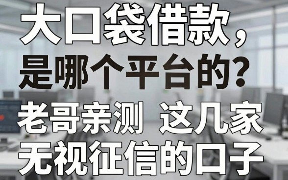 大口袋借款是哪个平台的？老哥亲测这几家无视征信的口子