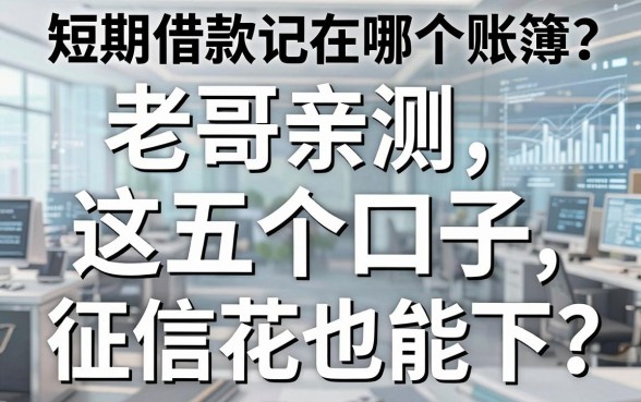 短期借款记在哪个账簿？老哥亲测这五个口子，征信花也能下