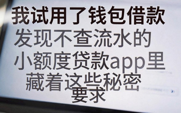 我试用了vivo钱包借款，发现不查流水的小额度贷款app里藏着这些秘密