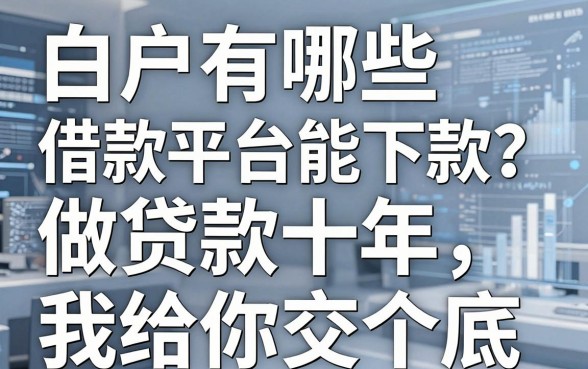 白户有哪些借款平台能下款?做贷款十年,我给你交个底