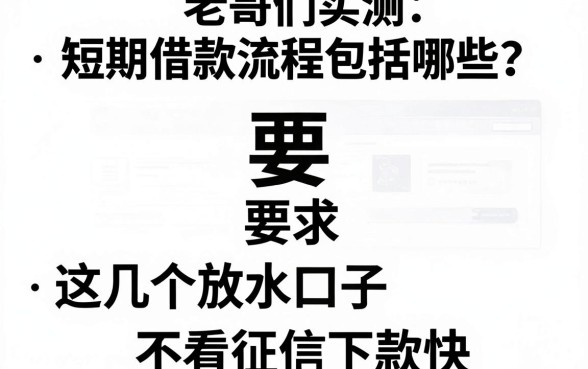 老哥们实测：短期借款流程包括哪些？这几个放水口子不看征信下款快