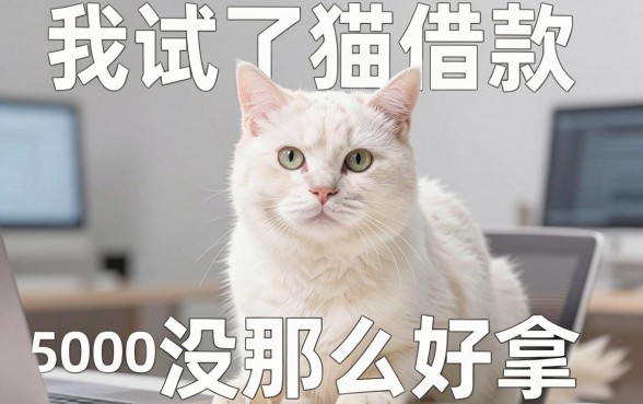 我试了白猫借款和那些无需征信的app，发现5000额度没那么好拿