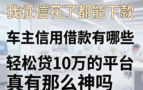 我征信花了都能下款,车主信用借款有哪些和轻松贷10万的平台真有那么神吗