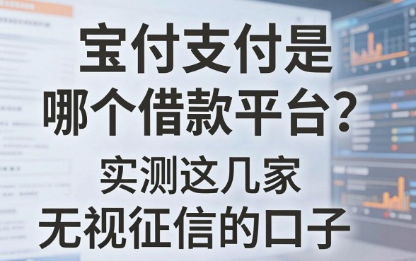 宝付支付是哪个借款平台?实测这几家无视征信的口子