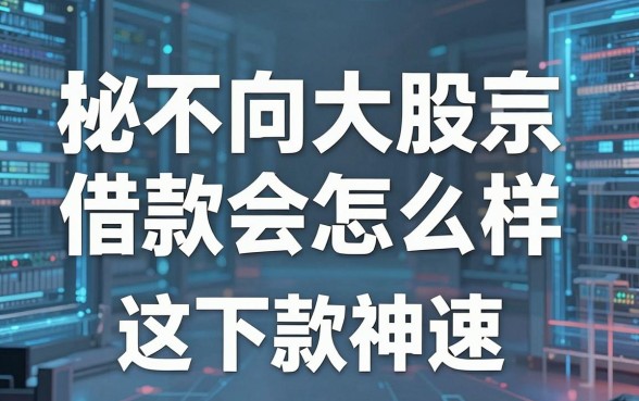 揭秘不向大股东借款会怎么样,这几款下款神速