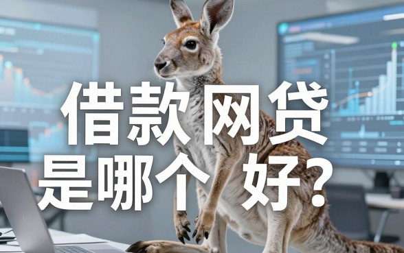 袋鼠借款网贷是哪个好?盘点几个实用的借款渠道