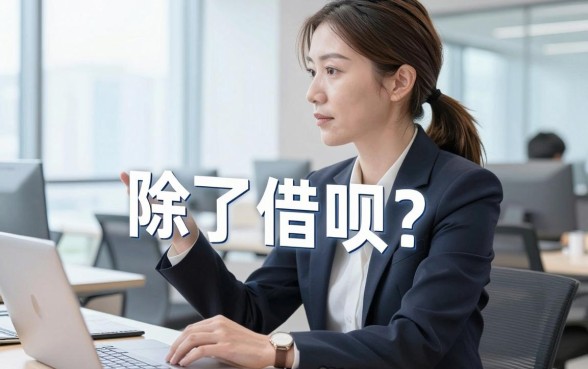 阿里有哪些借款?除了借呗这几个备用渠道也不错