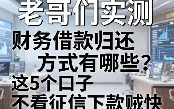 老哥们实测：财务借款归还方式有哪些？这5个口子不看征信下款贼快