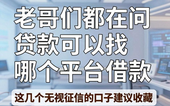 老哥们都在问贷款可以找哪个平台借款，这几个无视征信的口子建议收藏