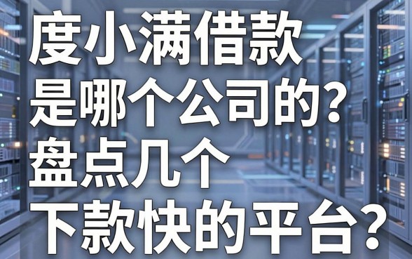 度小满借款是哪个公司的？盘点几个下款快的平台