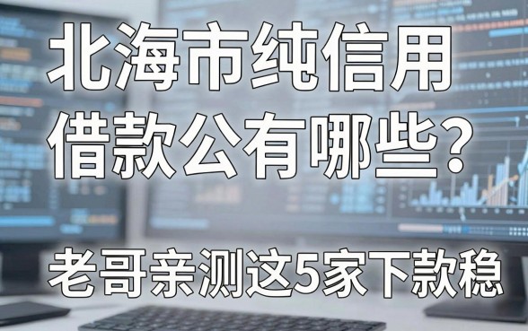 北海市纯信用借款公司有哪些？老哥亲测这5家下款稳