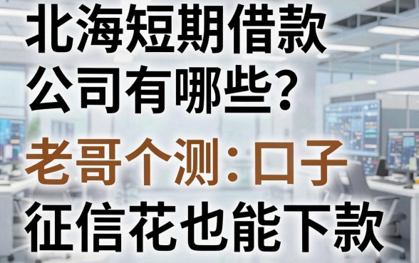 北海短期借款公司有哪些?老哥亲测这五个口子,征信花也能下款
