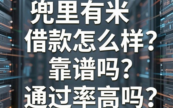 兜里有米借款怎么样？靠谱吗？通过率高吗？深度测评为你揭秘