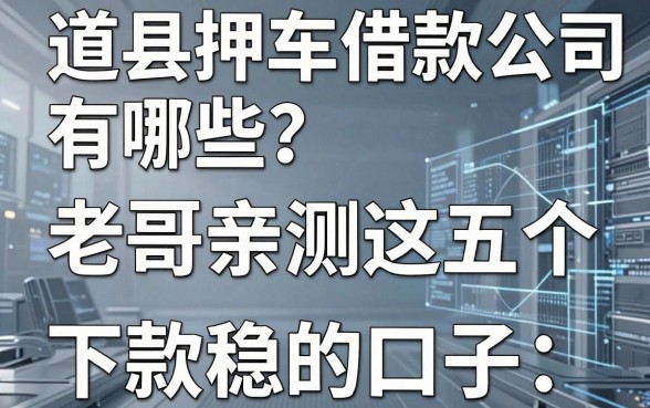 道县押车借款公司有哪些？老哥亲测这五个下款稳的口子