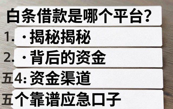 白条借款是哪个平台？揭秘背后的资金渠道与五个靠谱应急口子