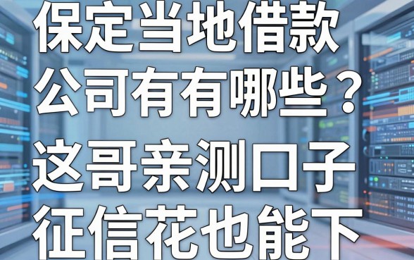 保定当地借款公司有哪些？老哥亲测这五个口子，征信花也能下