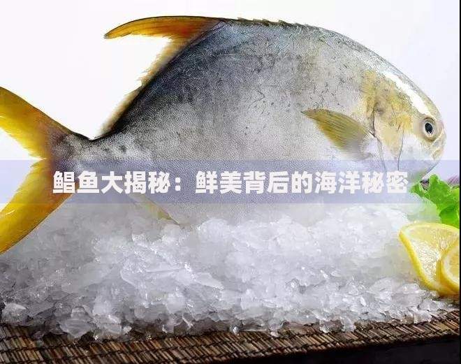 目前什么口子容易下款？最新低门槛申贷渠道解析
