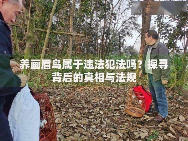 身份证黑户有什么影响和后果,隆重介绍5个网贷借款平台好贷