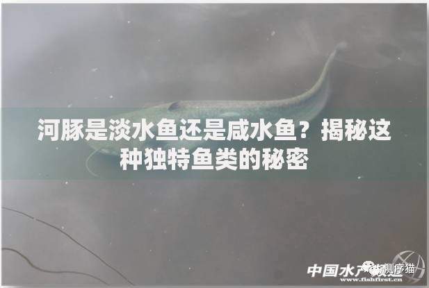 纯黑户哪里能借到钱啊急用？最新借款渠道解析