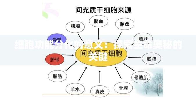 怎样注册支付宝？手把手教你零基础搞定