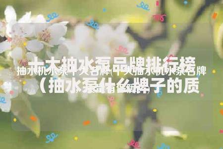 杭州压身份证私人贷办理流程与风险防范指南