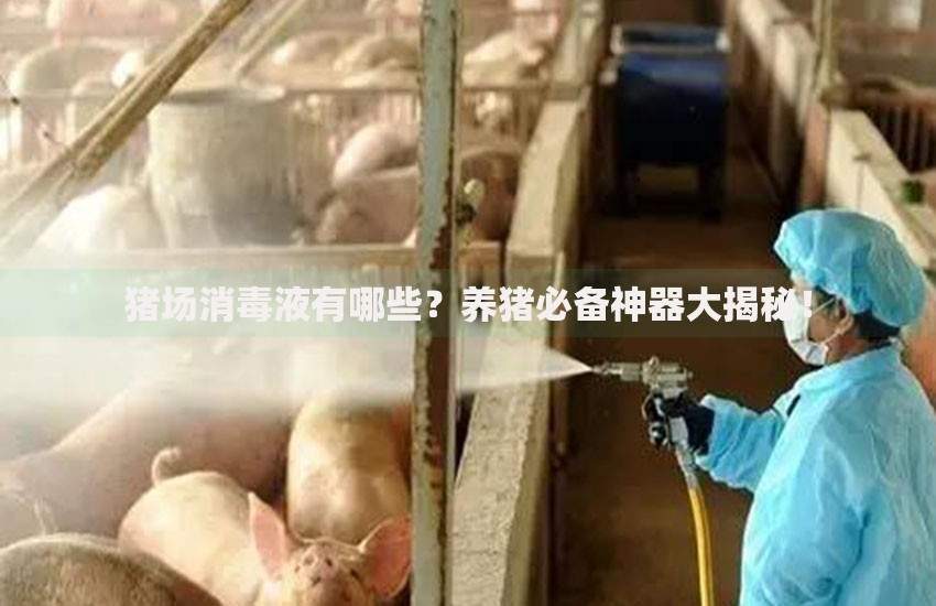 百分百下款的小额贷款如何选择正规平台？