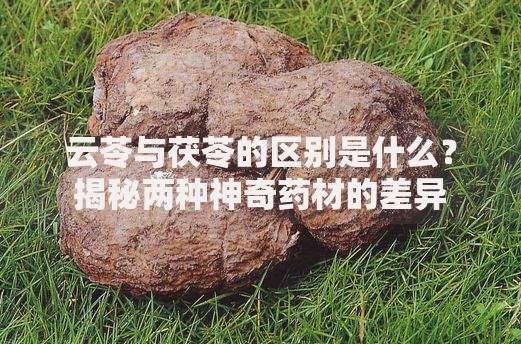 驾驶证贷款必下款私人可以办吗,值得收藏的5个现在还有黑户能下款的口子吗