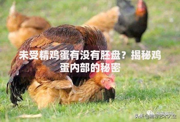 无视风控秒下贷款口子有哪些正规渠道？申请流程全解析