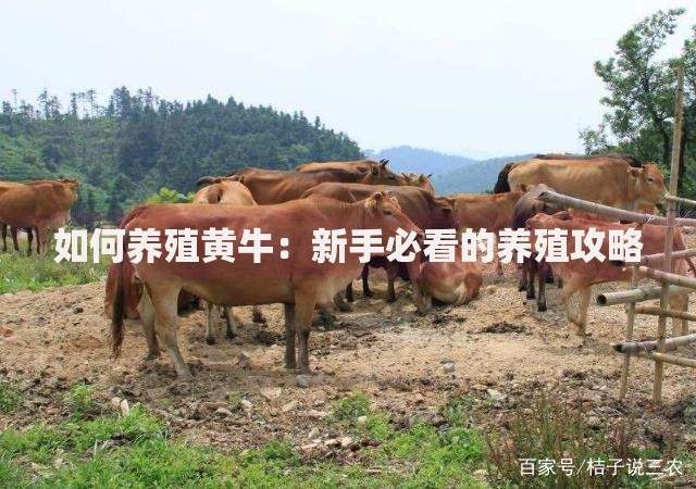 恒易贷到底上不上征信?真实情况解析,一文说透! 恒易贷到底上不上征信?真实情况解析,一文说透!