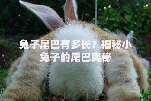 用身份证照片可以贷款吗？这5个风险你必须知道