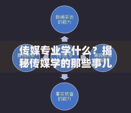深圳市有多少人口2025最新数据公布1798万常住人口增速全国第一