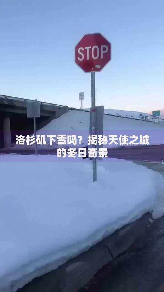 正规身份证号贷款平台推荐：快速到账、安全可靠的选择