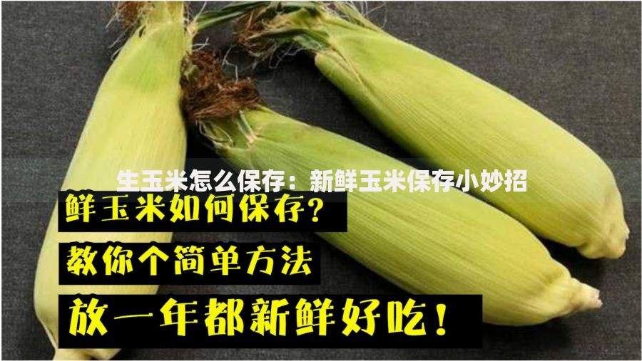 一年开票100万能贷多少钱银税贷额度解析