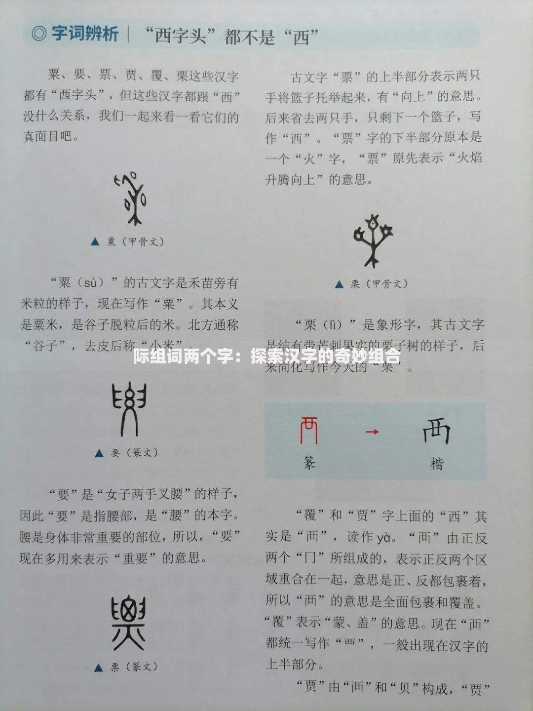 旺旺7天极速贷款平台：快速下款的贷款渠道靠谱吗？