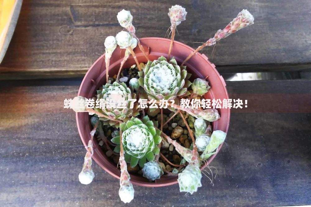 超级烂户双黑下款口子,为您介绍5款花户可以借钱的软件