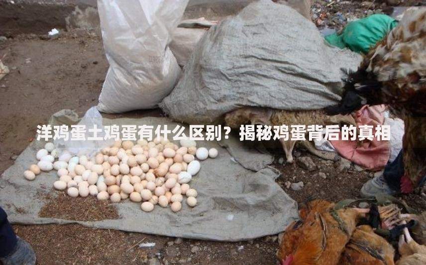中行房贷有几天宽限期？宽限天数、逾期影响与补救指南