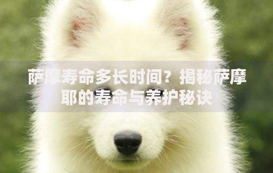 17岁大学生贷款平台推荐：低门槛正规借款渠道解析