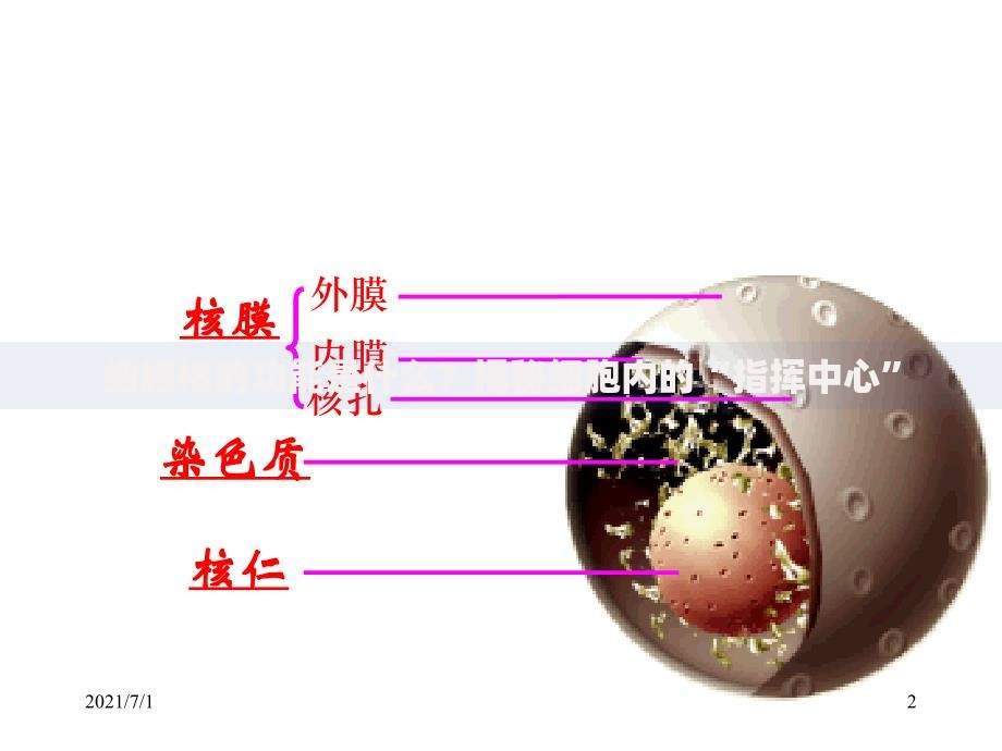 个税绑定银行卡待核验是什么意思？一文搞懂操作关键