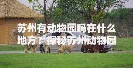 压身份证私人贷五万,为您介绍5款最容易下款的贷款平台