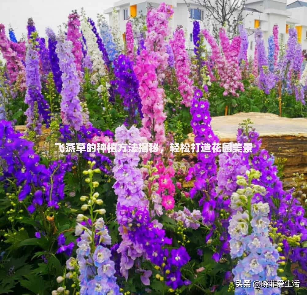 压身份证私人贷五万,为您介绍5款最容易下款的贷款平台